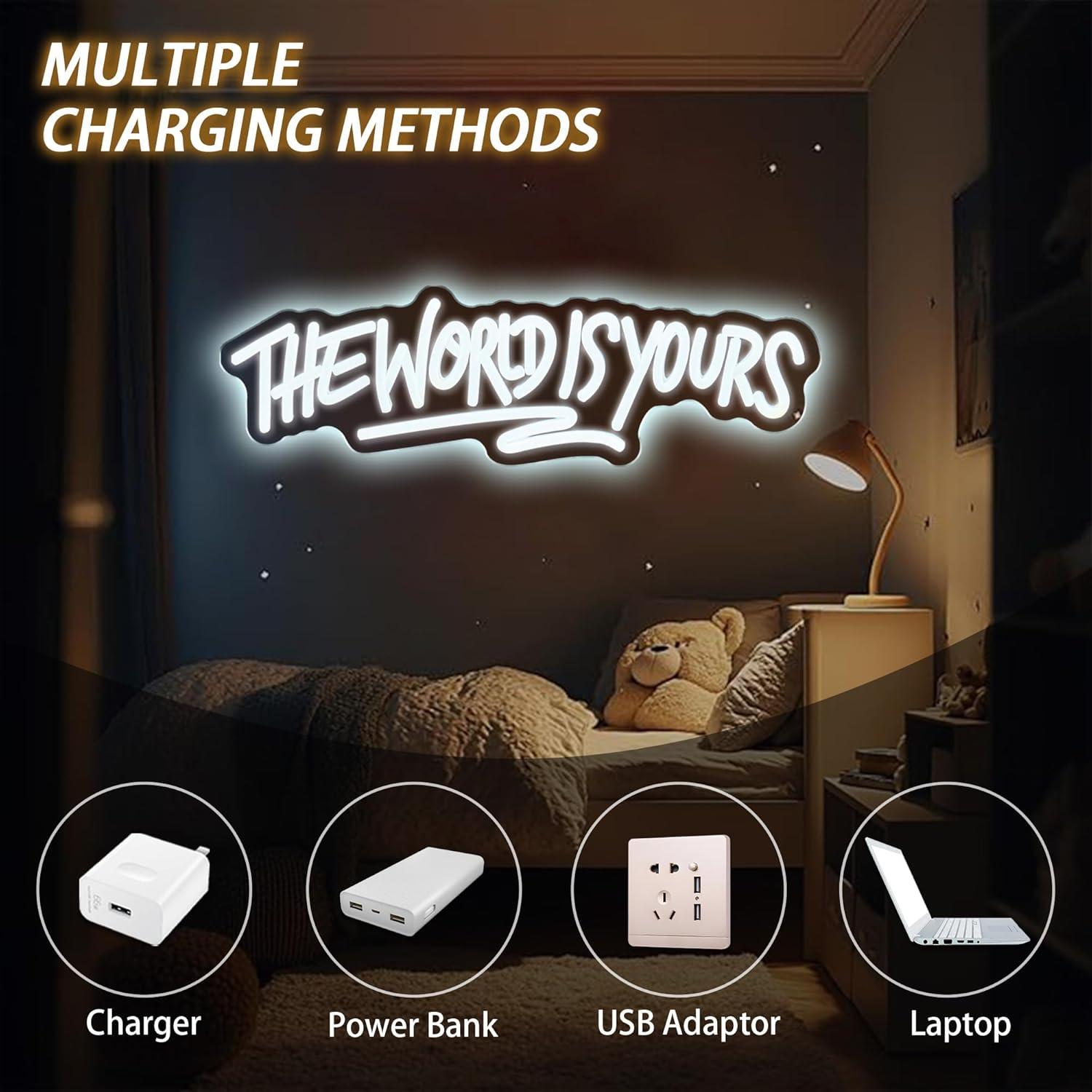 The World is Yours Neon Sign U - Led Lighting Wall Decor review and price