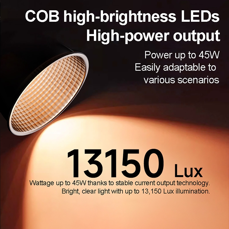 60W RGB Video Light Portable L - Lighting Gallery review and price